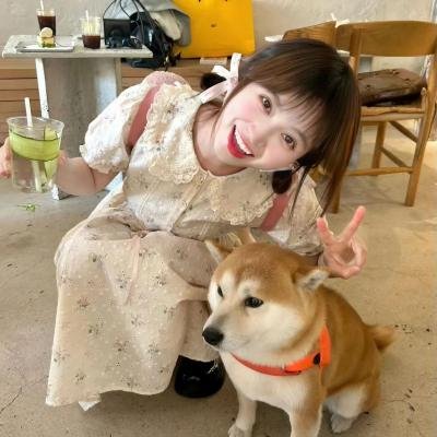 布鲁克林有棵树
